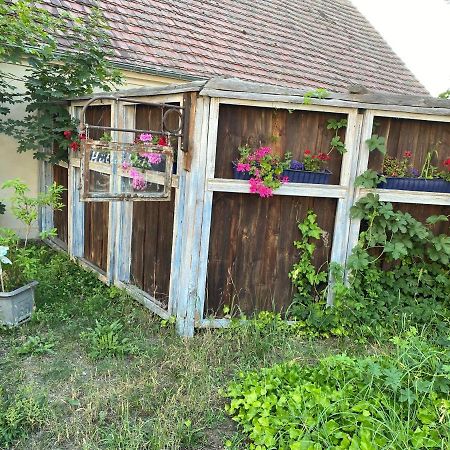 Ostsee Radlerpension Peitz Exterior foto